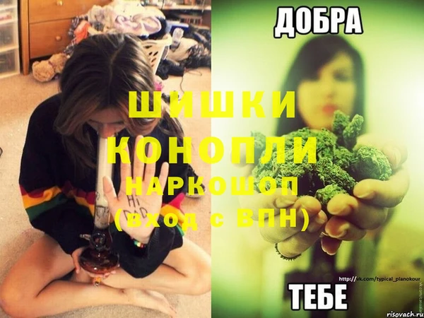 гашик Карталы