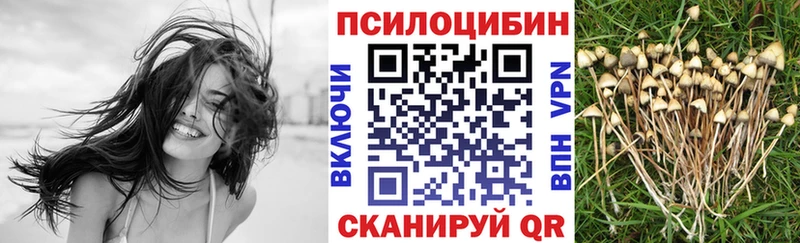 Галлюциногенные грибы Psilocybine cubensis  Купить  Зарайск 